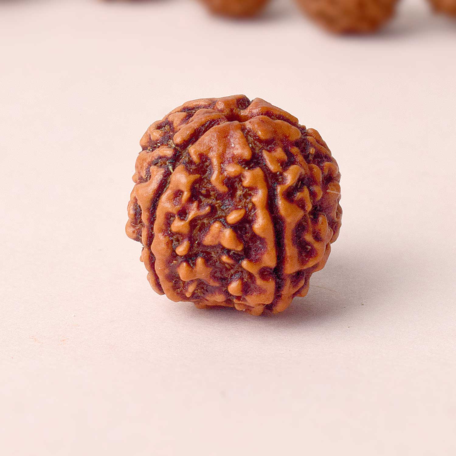 Rudraksha Beads Collection