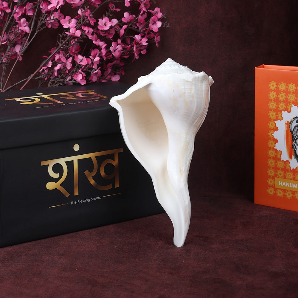 Natural Dakshinavarti Valampuri Shankh 17.7 cm sacred right-handed conch shell for puja, vastu, and spiritual rituals. India’s Largest Pooja Accessories Brand – www.satvikstore.in