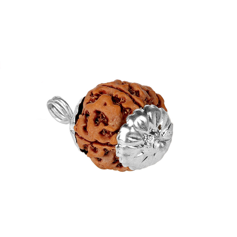 5 Mukhi Rudraksha Pendant with Silver Cap