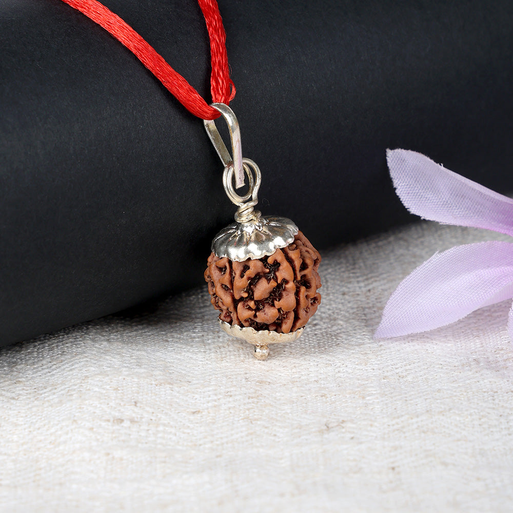 5 Mukhi Rudraksha Pendant with Silver Cap (with Hook)