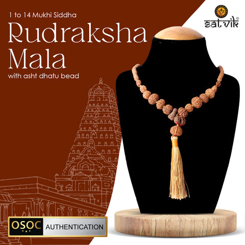 1β14 Mukhi Siddh Rudraksha Mala with Energized Asht Dhatu Bead β Certified Original Spiritual Mala for Protection and Divine Power. Indiaβs Largest Pooja Accessories Brand - www.satvikstore.in