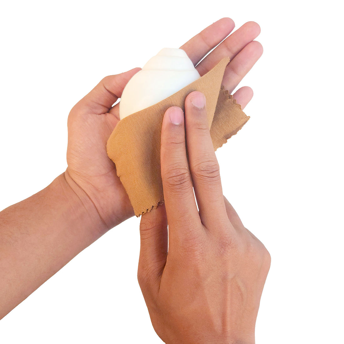 10cm Regular Dakshinavarti Shankh (Conch Shell)
