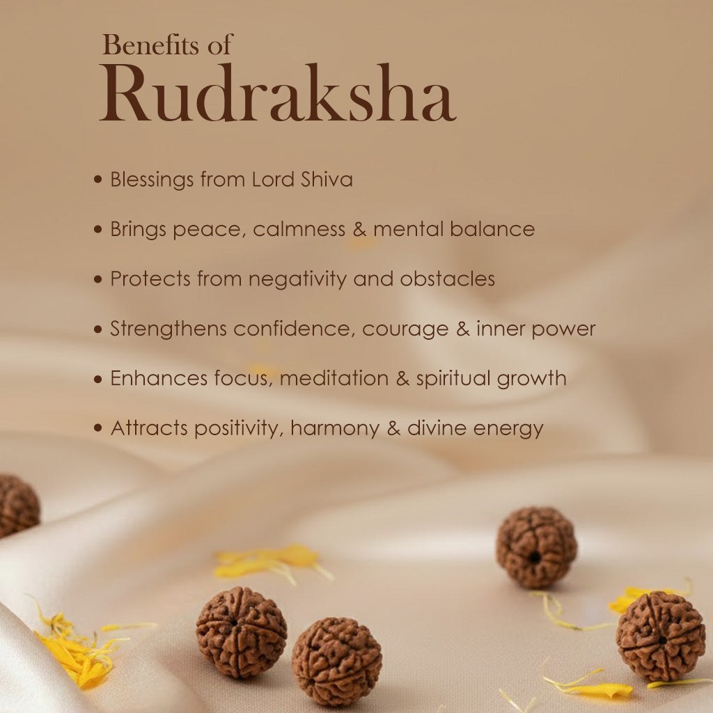 7 Mukhi Pathariya Rudraksha Mala 7-8mm