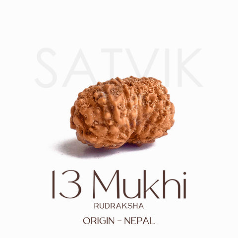Certified 13 Mukhi Rudraksha bead in brown tone from Indo origin placed on red cloth, symbolizing charm, siddhi, and divine blessings of Venus and Kamadeva. Indiaβs Largest Pooja Accessories Brand - www.satvikstore.in