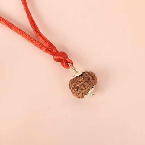Certified 13 Mukhi Rudraksha Pendant for prosperity, confidence and spiritual power. Indiaβs Premium Rudraksha Jap Mala Store- www.satvikstore.in