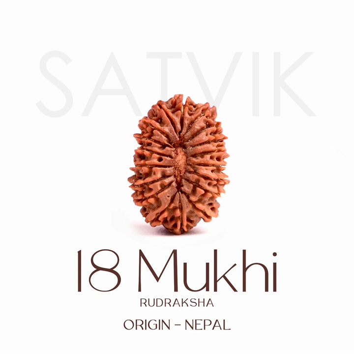 Certified 18 Mukhi Rudraksha Bead – Original Natural Rudraksha for Wealth, Health, and Spiritual Growth. India’s Largest Brass Idols Brand - www.satvikstore.in