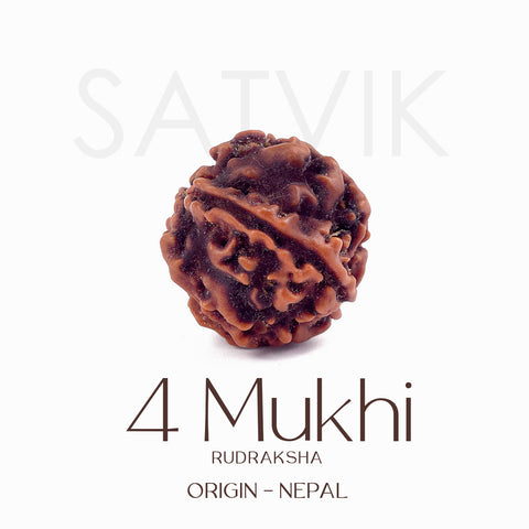 Certified 4 Mukhi natural brown Rudraksha bead placed on red cloth, representing wisdom, speech clarity, and blessings of Lord Brahma. Indiaβs Largest Pooja Accessories Brand - www.satvikstore.in