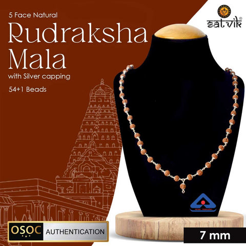 Certified 5 Mukhi Rudraksha mala with 925 silver capping for meditation, spiritual protection, and daily japa practice. Indiaβs Premium Jap Mala Store - www.satvikstore.in