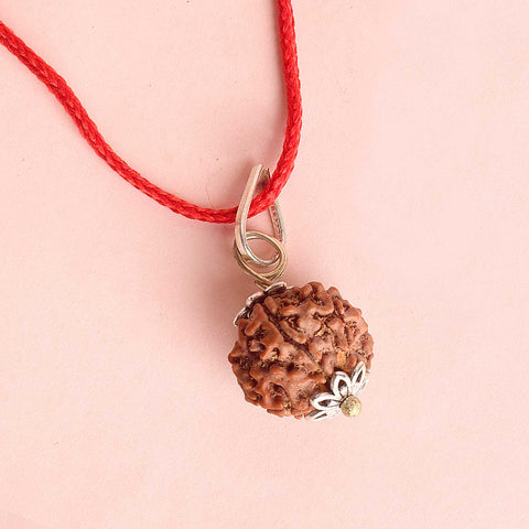 Certified 6 Mukhi Rudraksha Pendant with metal cap for wisdom, energy, and success. Indiaβs Premium Rudraksha Jap Mala Store- www.satvikstore.in