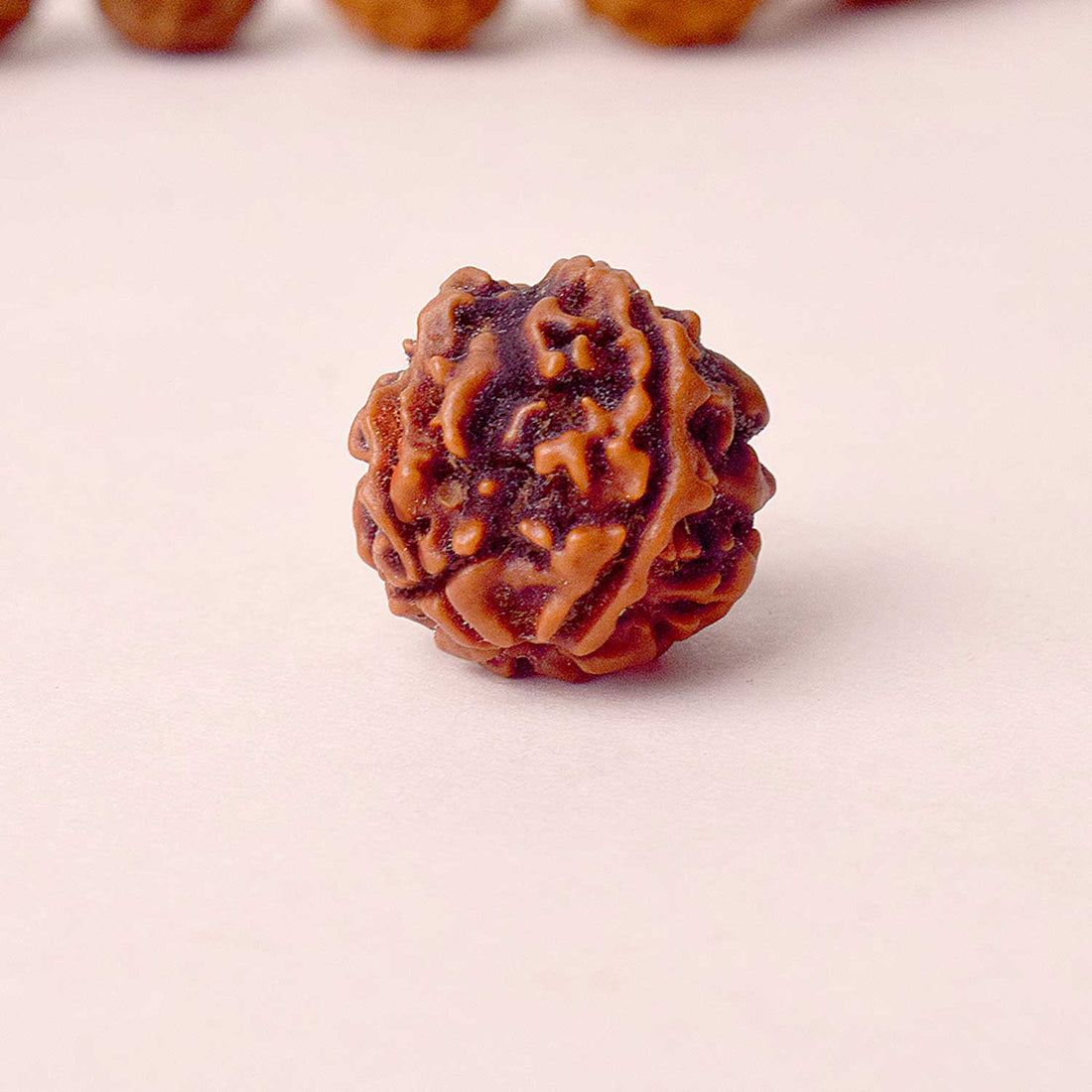 4 Mukhi Rudraksha (Regular)