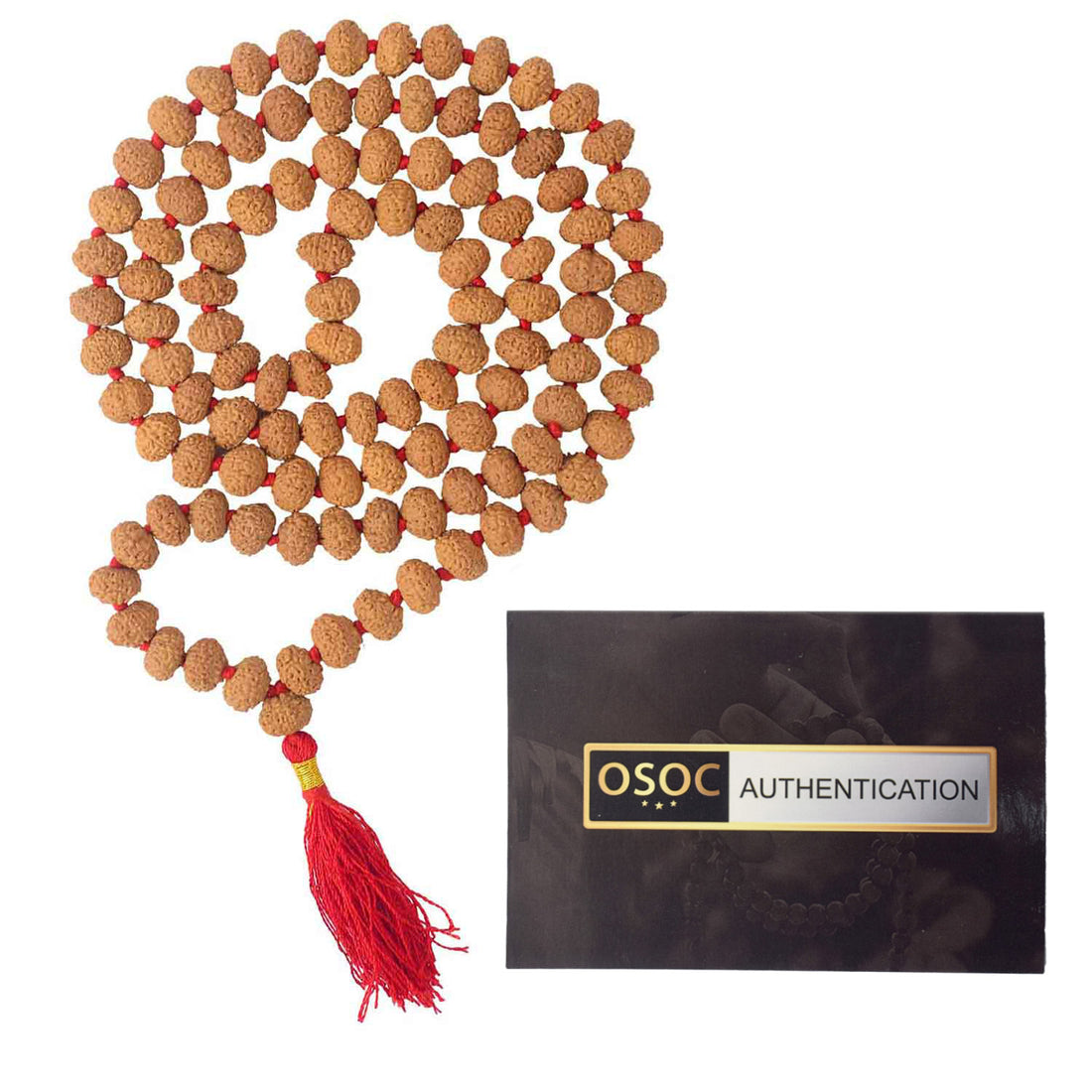 10 Mukhi Pathariya Rudraksha Mala 11-12mm