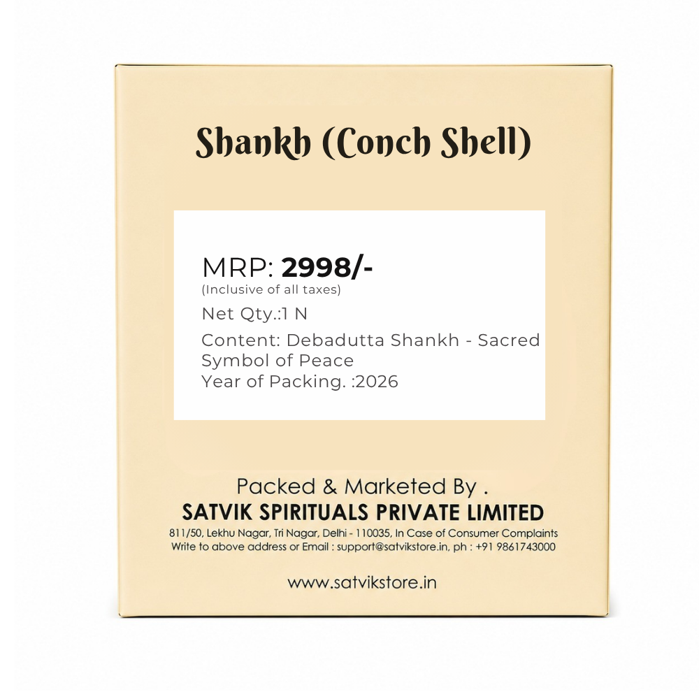 Debadutta Shankh (Turbinella Pyrum) – Sacred Symbol of Peace
