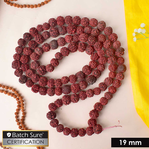 Morangi Aghori Rudraksha Mala made with rare red beads used for deep sadhana and spiritual rituals. Indiaβs Premium Rudraksha Jap Mala Store- www.satvikstore.in