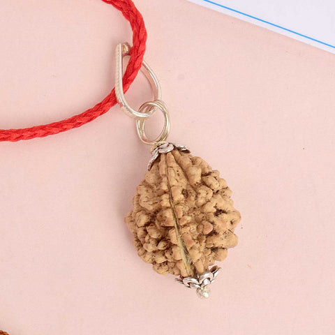 Certified 2 Mukhi Rudraksha Pendant with metal capping for spiritual balance and unity. Indiaβs Premium Rudraksha Jap Mala Store- www.satvikstore.in
