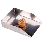 18 Mukhi Rudraksha (20.23mm)