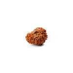 17 Mukhi Rudraksha (22.14mm)