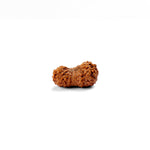 21 Mukhi Rudraksha (18.84mm)
