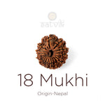 18 Mukhi Rudraksha bead natural Nepali eighteen face Rudraksha. India’s Premium Rudraksha Beads Brand - www.satvikstore.in