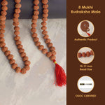 8 Mukhi Pathariya Rudraksha Mala 10-11mm