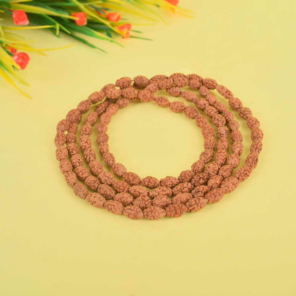 2 Mukhi Semi Pathriya Rudraksha Mala (4–6mm) for Spiritual Balance