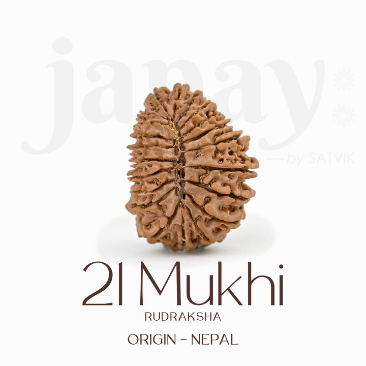 Certified 21 Mukhi Rudraksha Bead – Nepali origin sacred bead representing Lord Kuber, known for attracting immense wealth, success, and divine blessings. India’s Largest Brass Idols Brand - www.satvikstore.in
