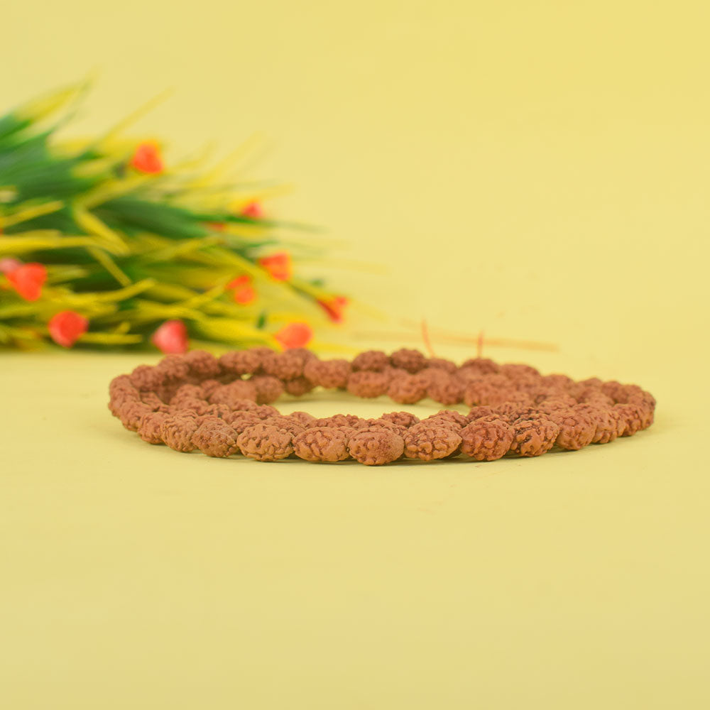 2 Mukhi Semi Pathriya Rudraksha Mala (4–6mm) for Spiritual Balance