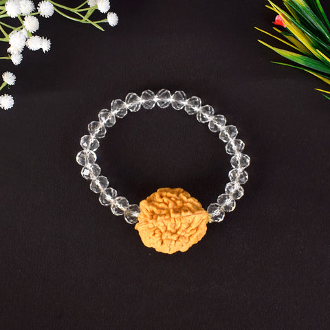 2 Mukhi Rudraksha Bracelet with Sphatik Crystal Beads for Spiritual Healing. India’s Largest Pooja Accessories Brand - www.satvikstore.in
