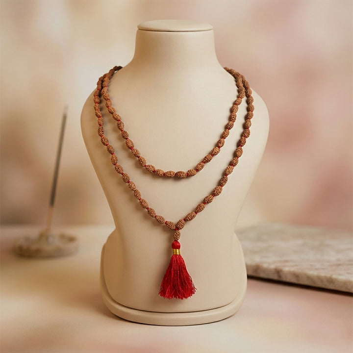 2 Mukhi Rudraksha mala natural Indo two face Rudraksha for harmony. India’s Premium Rudraksha Jap Mala Brand - www.satvikstore.in