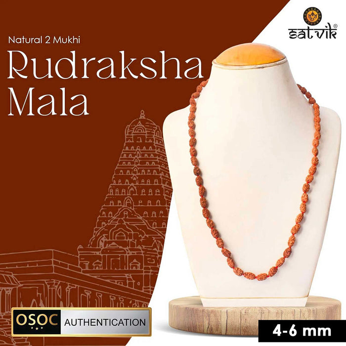 2 Mukhi Semi Pathriya Rudraksha Mala for harmony, relationships and spiritual growth. India’s Premium Rudraksha Jap Mala Store- www.satvikstore.in