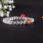 3 Mukhi Rudraksha Glass crystal beads Bracelet