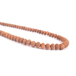 8 Mukhi Semi Pathariya Rudraksha Mala 9-10mm