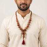 Siddha Mala with 1 Mukhi Underdeveloped (Collector Grade, Nepal- Thread)