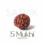 5 Mukhi Rudraksha bead | India’s Premium Rudraksha Beads Brand - www.satvikstore.in	