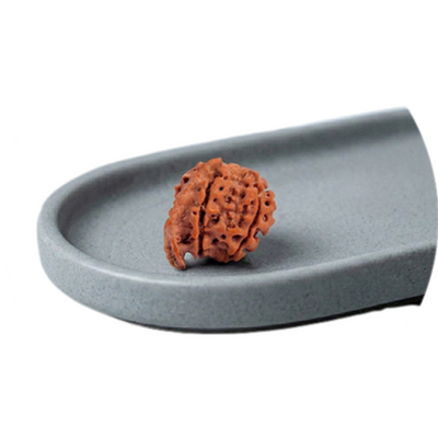 Ganesh Rudraksha