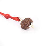 Certified 11 Mukhi Rudraksha Pendant