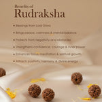 5 Mukhi Pathariya Rudraksh Mala 108 Beads 7mm