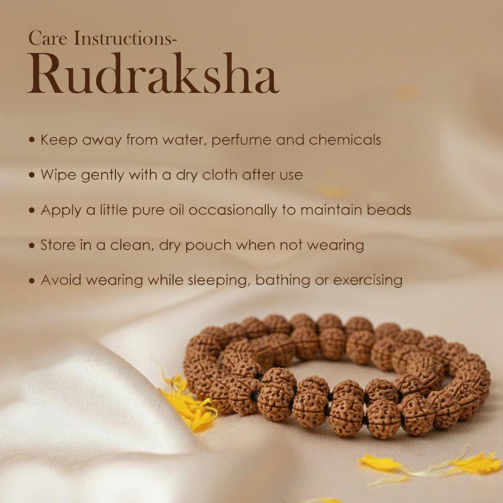2 Mukhi Pathariya Rudraksha Mala (6-7mm)