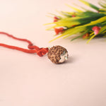 Certified 13 Mukhi Rudraksha Pendant
