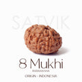 Certifiedbead in natural brown color from Indo origin placed on red cloth for success, clarity, and spiritual protection. India’s Largest Pooja Accessories Brand - www.satvikstore.in