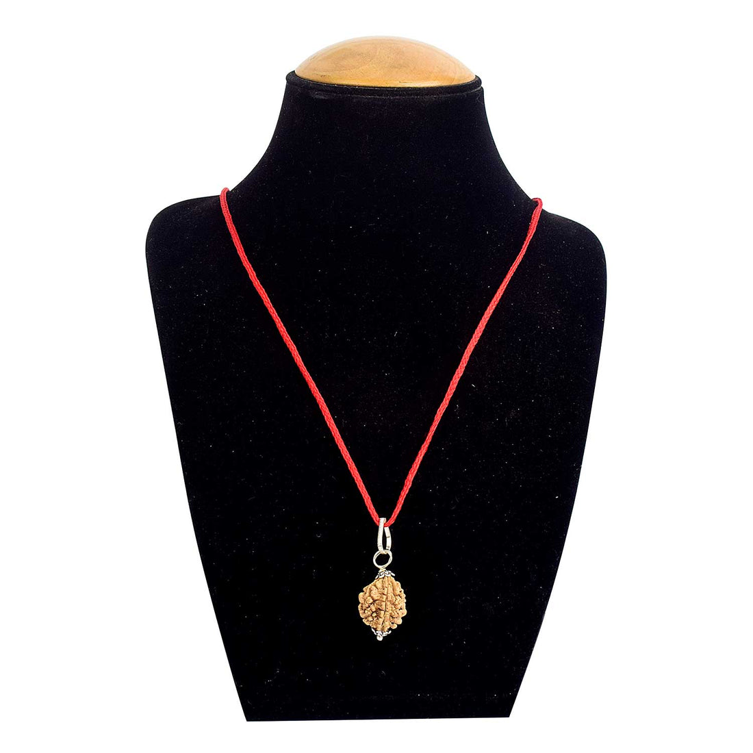 Certified 2 Mukhi Rudraksha Pendant
