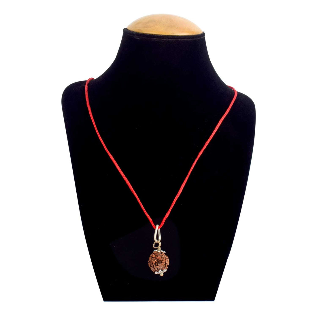 Certified 4 Mukhi Rudraksha Pendant