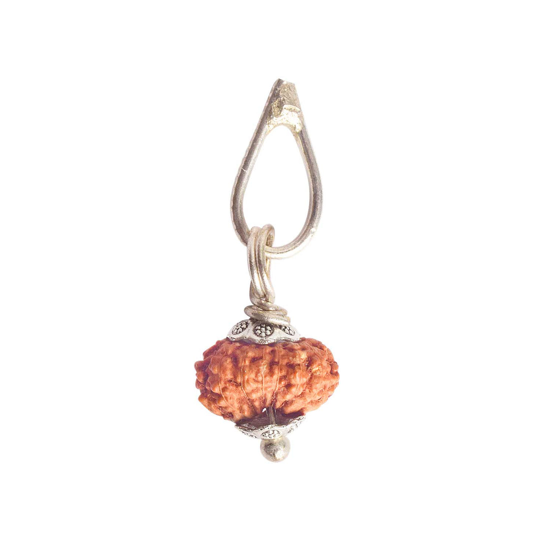 Certified 14 Mukhi Rudraksha Pendant