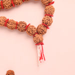 5 Mukhi Rudraksha Kantha Mala with 54 Beads Velvet Thread