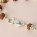 Certified 1 to 14 Mukhi Siddh Rudraksha Mala with Silver Capping (Indonesia)