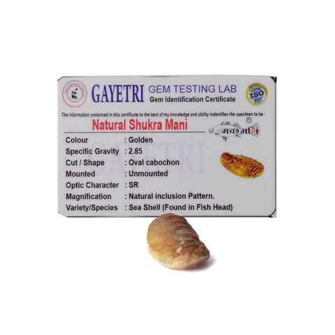 Golden Shukra Mani (Machh Mani) placed on a silver cloth with pooja items, used in rituals for Venus blessings, love, and prosperity. India’s Largest Pooja Accessories Brand - www.satvikstore.in
