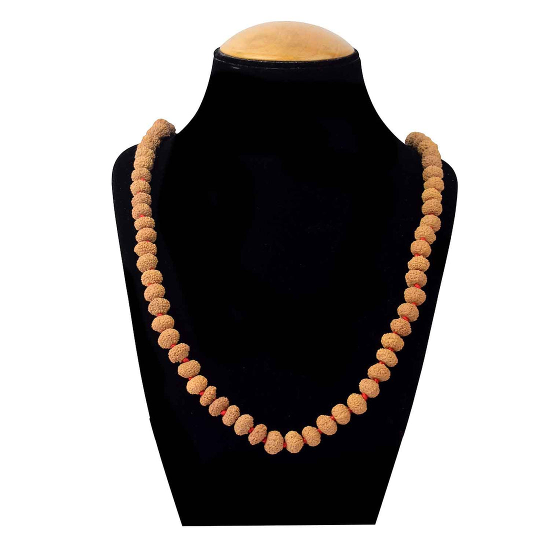 10 Mukhi Pathariya Rudraksha Mala 11-12mm