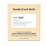 Natural 100% Original Vamavarti Shankha 12 cm