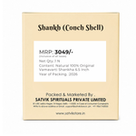 Natural 100% Original Vamavarti Shankha 6.5 Inch
