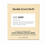Gomukhi Shankha (Queen Helmet) – Divine Aura for Serenity, Strength & Spiritual Grace