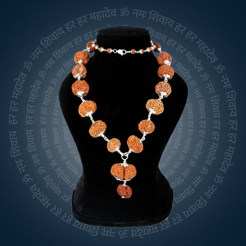 Siddha Mala with 1 Mukhi Sawar (Full Rudraksha, Nepal)